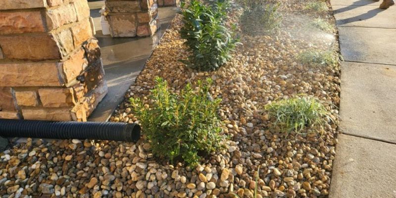 Tree & Shrub Planting Services