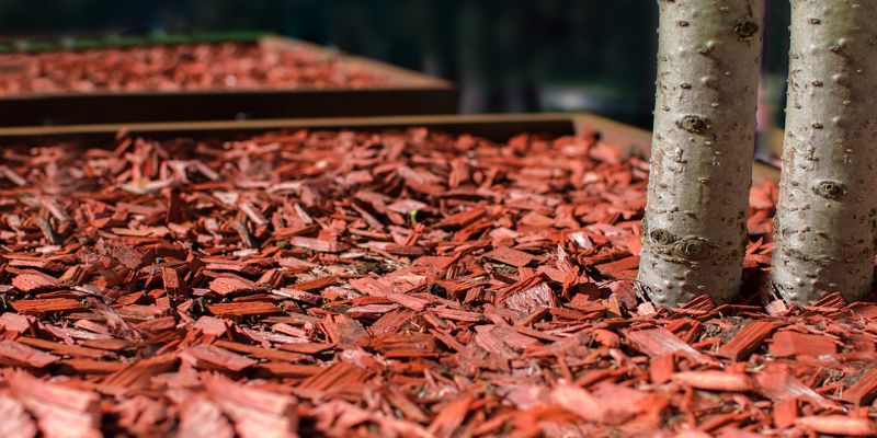 Mulching & Edging Services Mulching & Edging Services