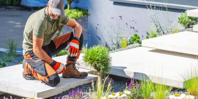 Layer Plants for Color, Privacy, Comfort Layer Plants For Color Privacy Comfort