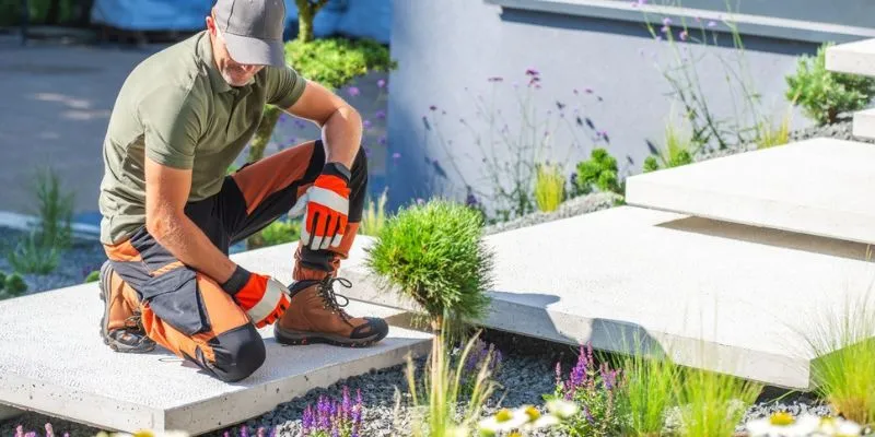 Layer Plants for Color, Privacy, Comfort Layer Plants for Color Privacy Comfort