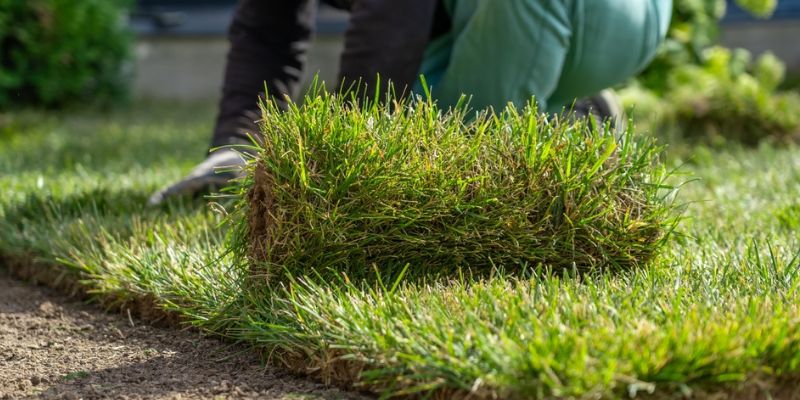 Sod Installation Services