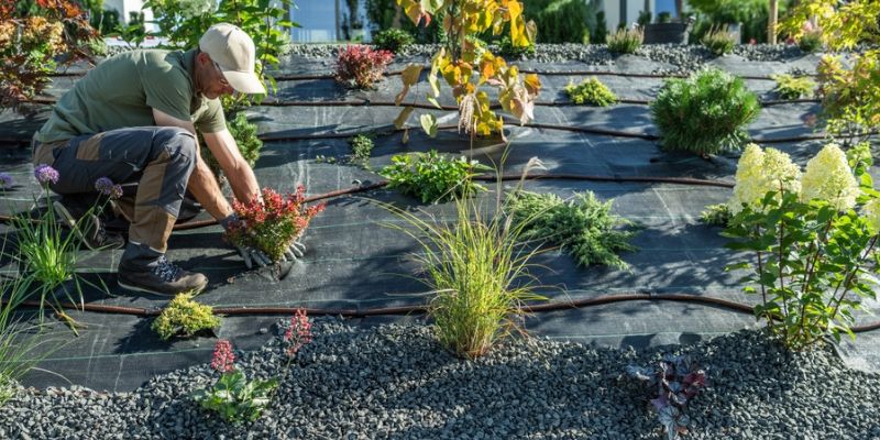 Smart Hybrid Systems