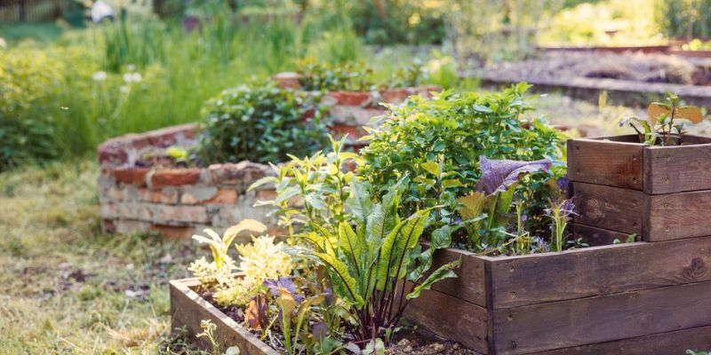 How to Finalize Your 2026 Backyard Garden Layout by the End of the Year